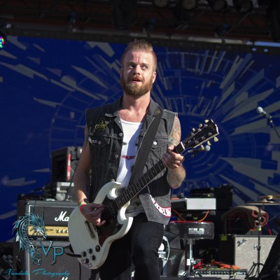 The Wild at Keloha Music & Arts Festival