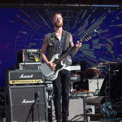 The Wild at Keloha Music & Arts Festival