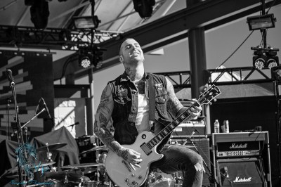 The Wild at Keloha Music & Arts Festival