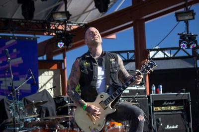 The Wild at Keloha Music & Arts Festival