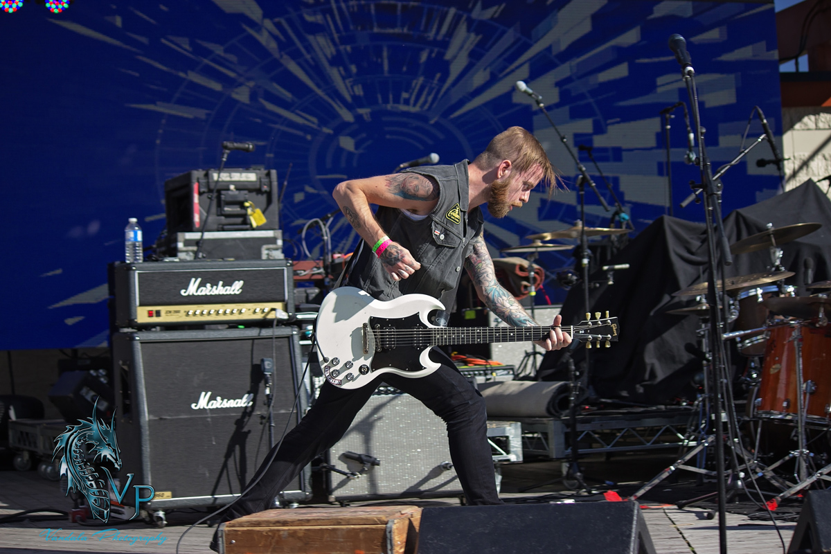 The Wild at Keloha Music & Arts Festival