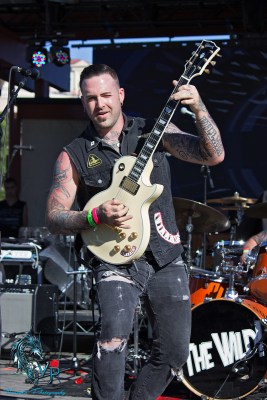 The Wild at Keloha Music & Arts Festival