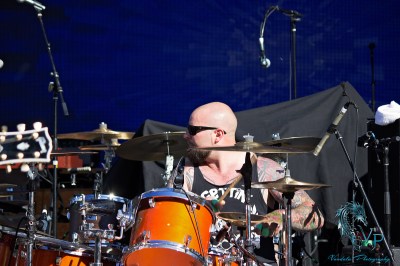 The Wild at Keloha Music & Arts Festival