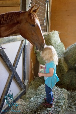 Cowboy-vandala-photograpy