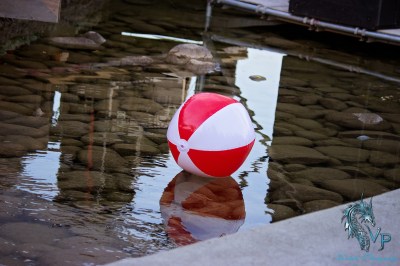 On Location at Keloha 2014